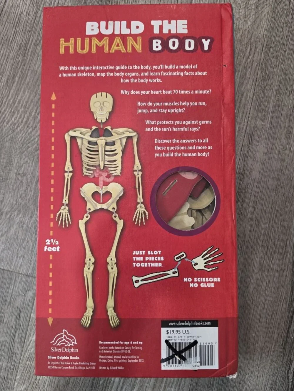 Build The Human Body Interactive Model Book With 66 Pieces & 32-Page Guide